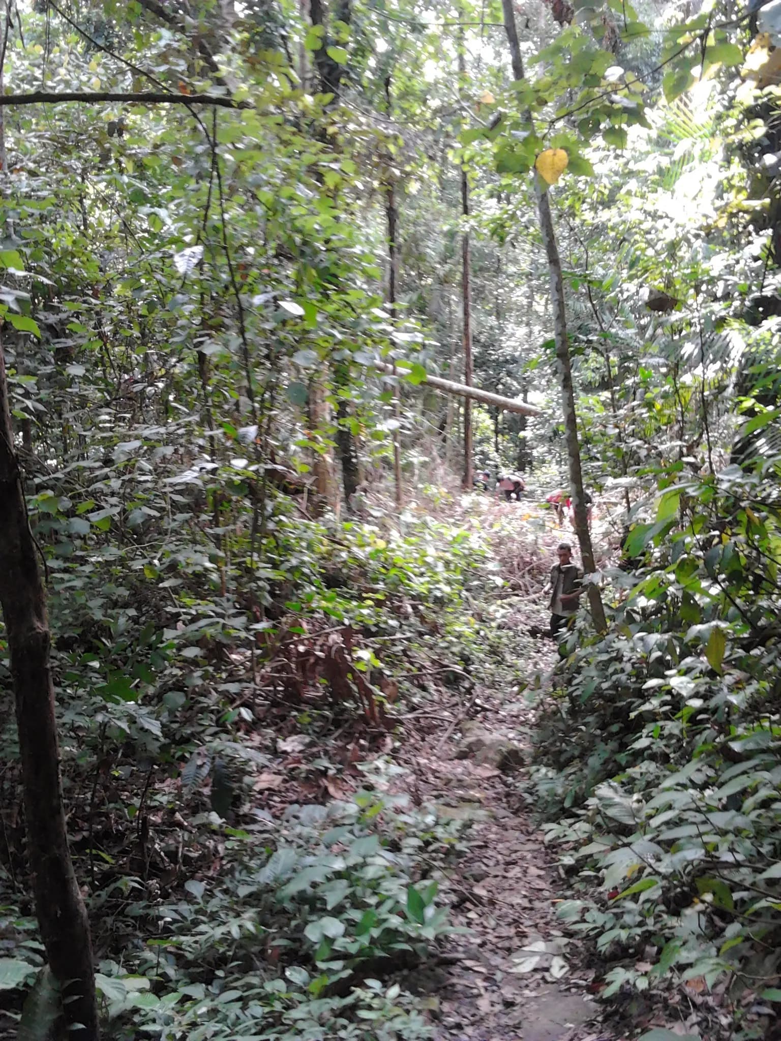 Lombongo Waterfall — photo 4