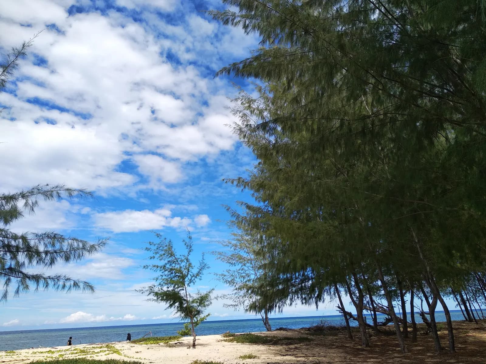 Pulau Lahe — photo 4