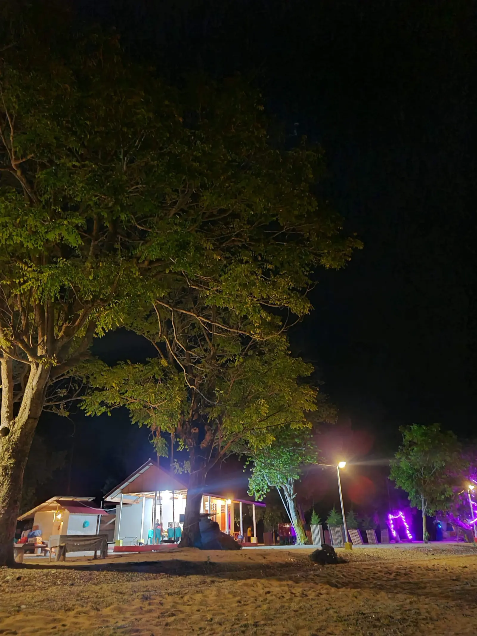 Pulau Mohinggito — photo 3