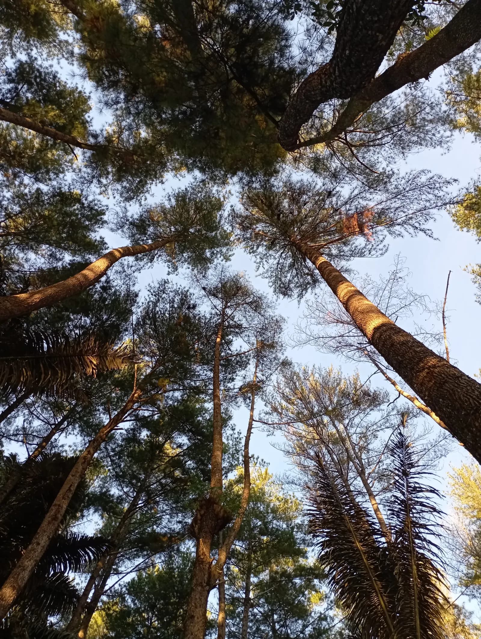 Puncak Dulamayo — photo 5