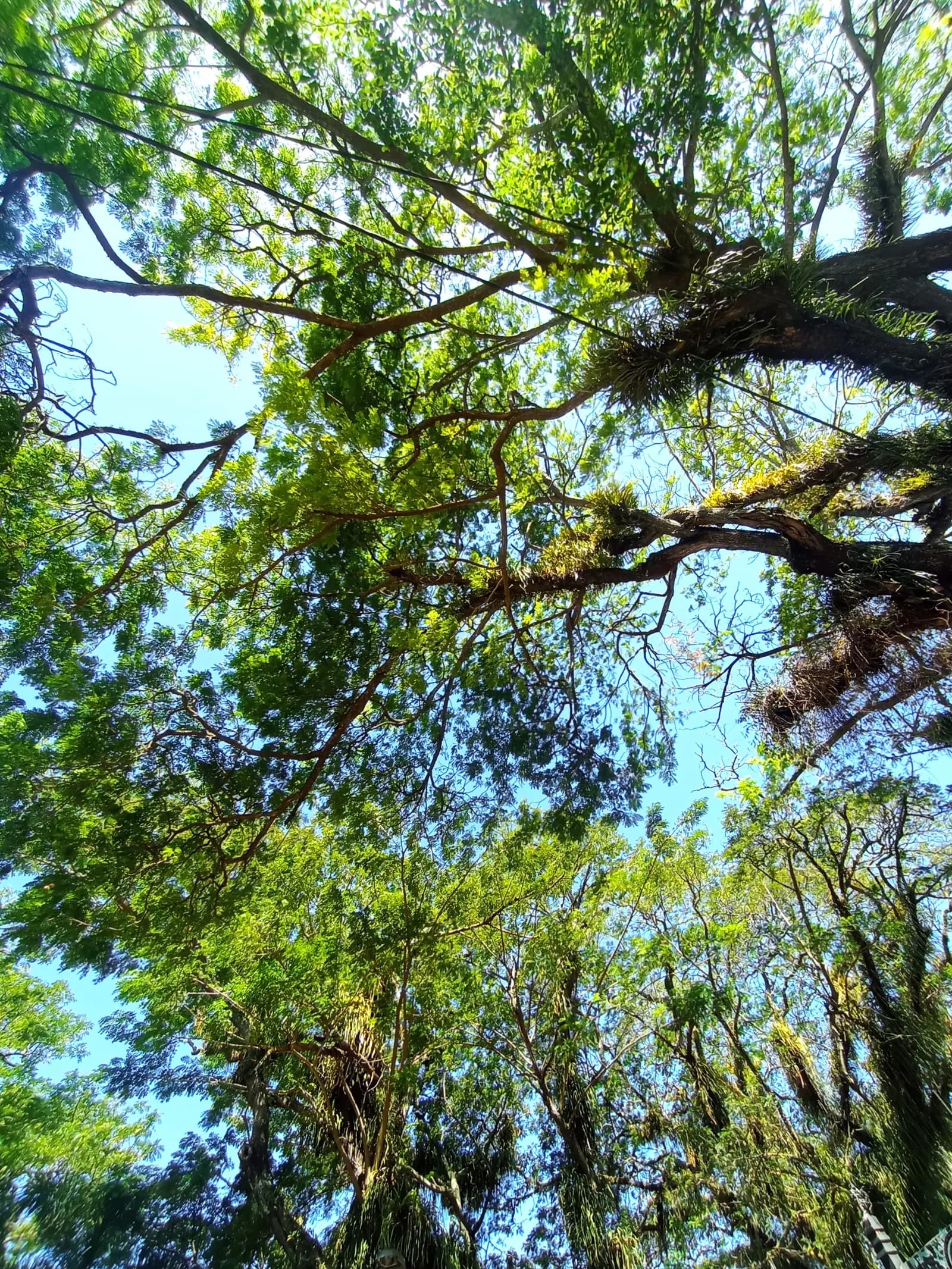 Taman Kota Gorontalo — photo 3